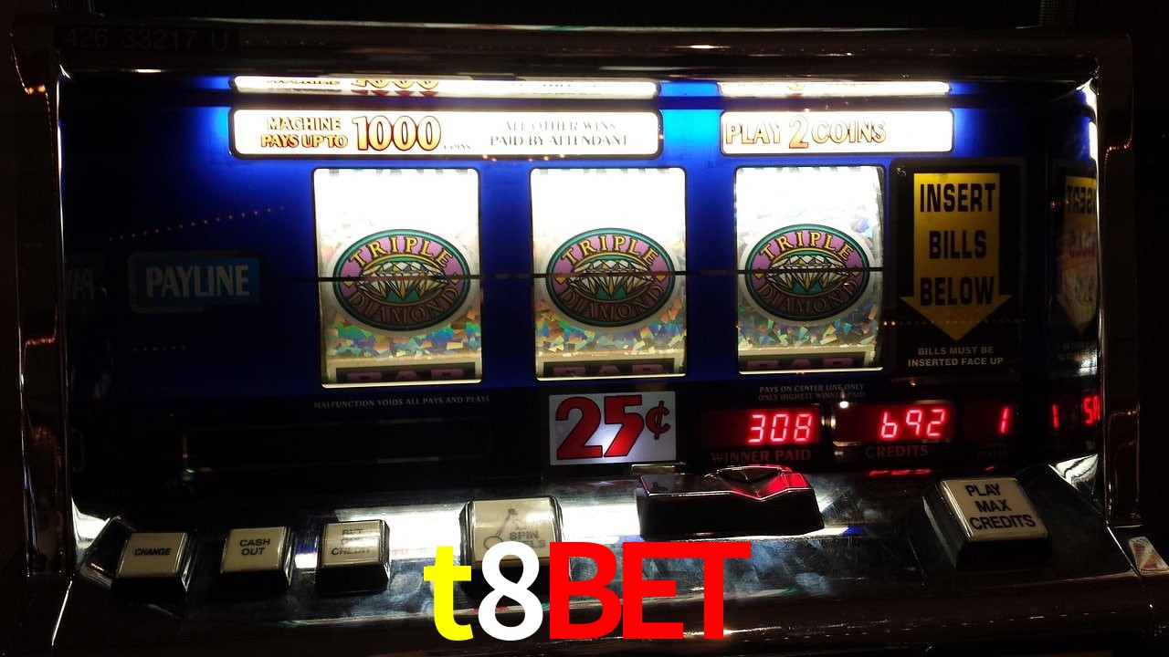 Experiência VIP t8bet