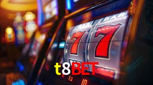 Experiência VIP t8bet